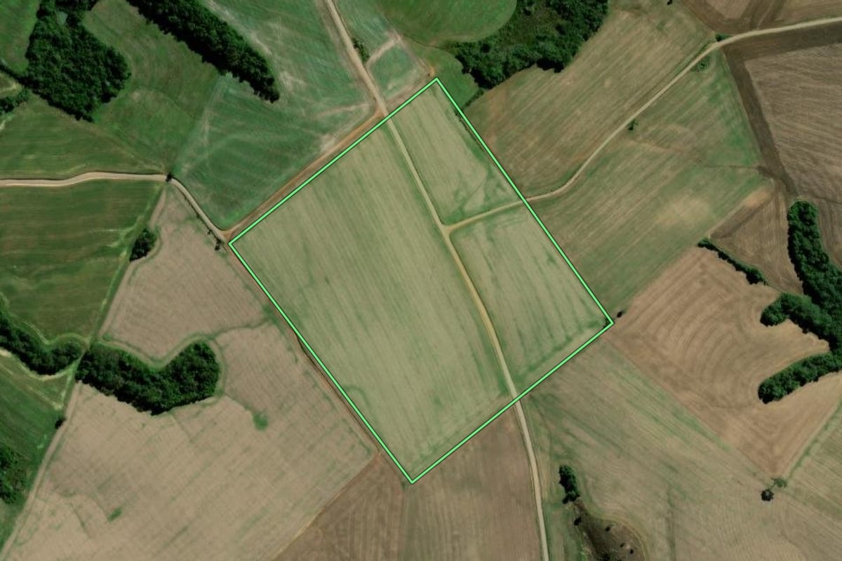 Imagem de satélite do imóvel rural em Fernandes Pinheiro (PR), com o contorno declarado no CAR desenhado por cima.