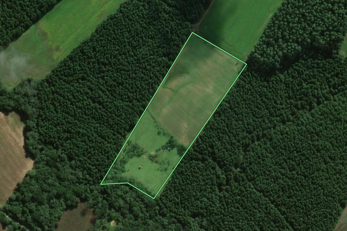 Imagem de satélite do imóvel rural em Fernandes Pinheiro (PR), com o contorno declarado no CAR desenhado por cima.