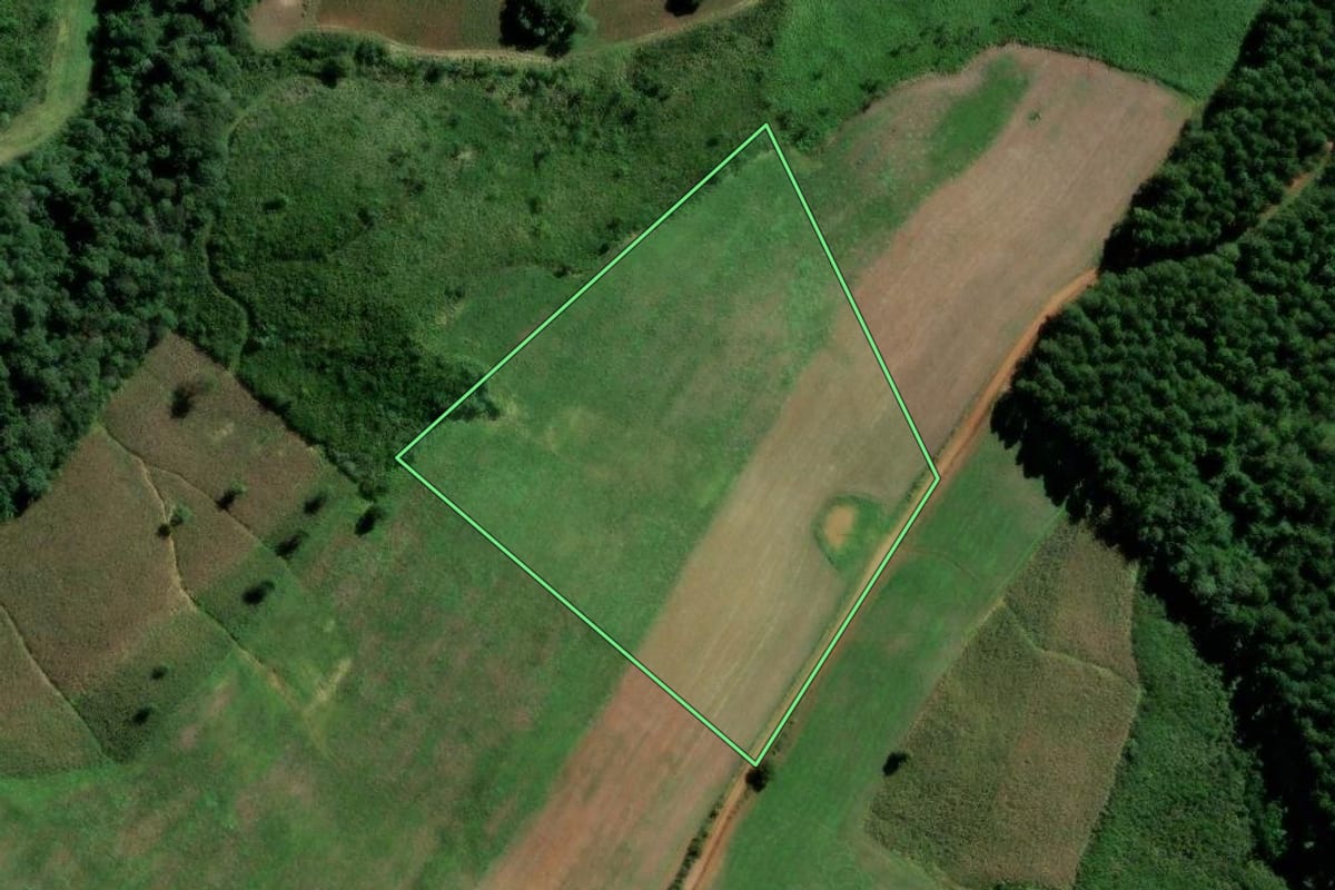 Imagem de satélite do imóvel rural em Fernandes Pinheiro (PR), com o contorno declarado no CAR desenhado por cima.