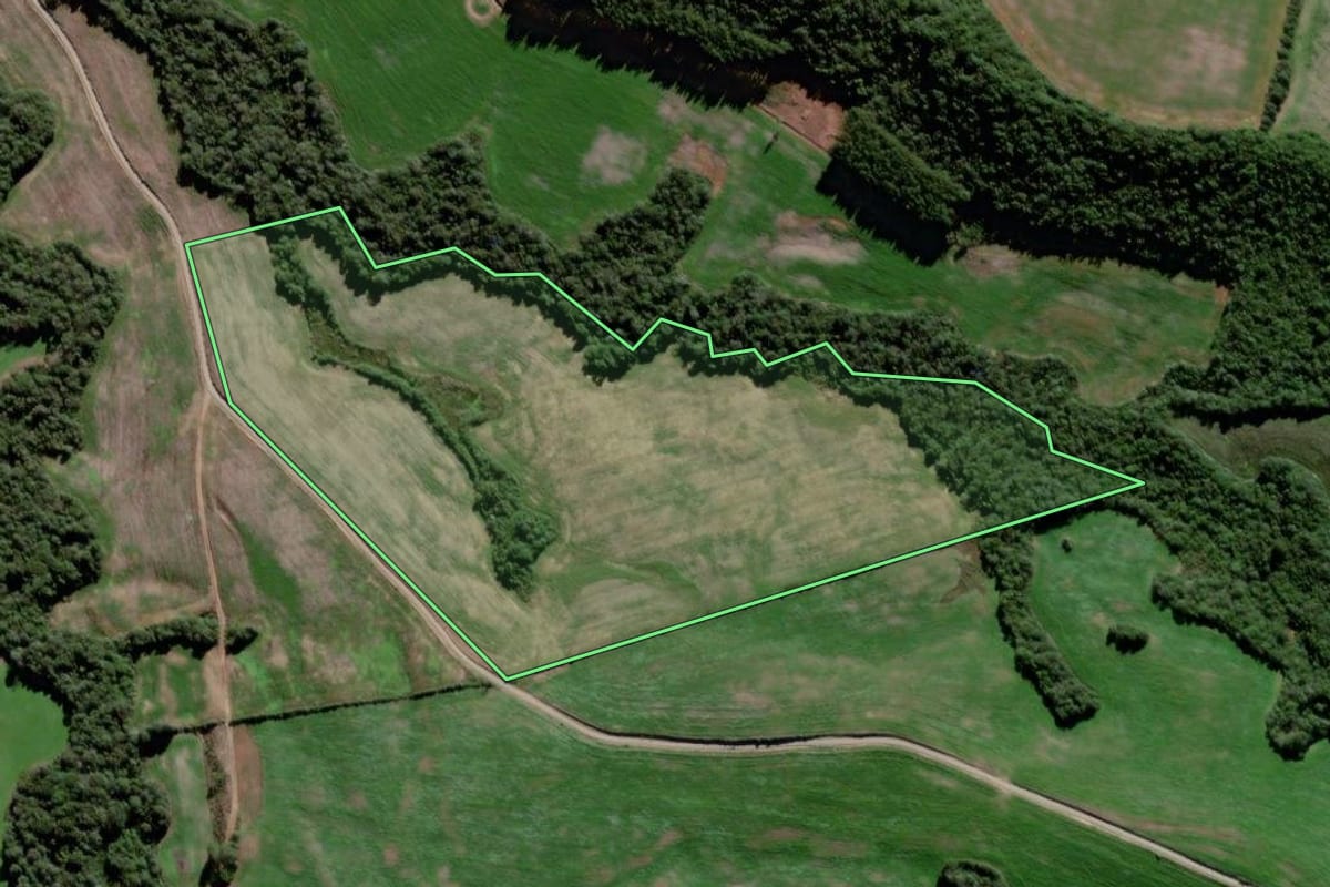 Imagem de satélite do imóvel rural em Fernandes Pinheiro (PR), com o contorno declarado no CAR desenhado por cima.