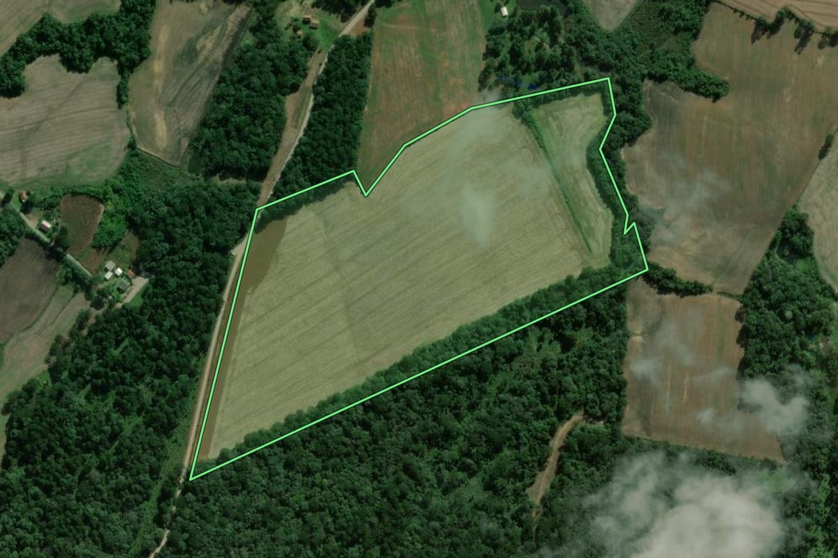 Imagem de satélite do imóvel rural em Fernandes Pinheiro (PR), com o contorno declarado no CAR desenhado por cima.