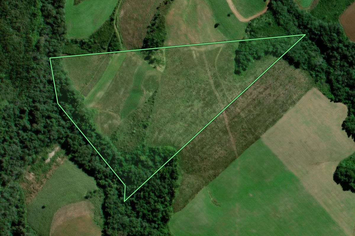 Imagem de satélite do imóvel rural em Fernandes Pinheiro (PR), com o contorno declarado no CAR desenhado por cima.