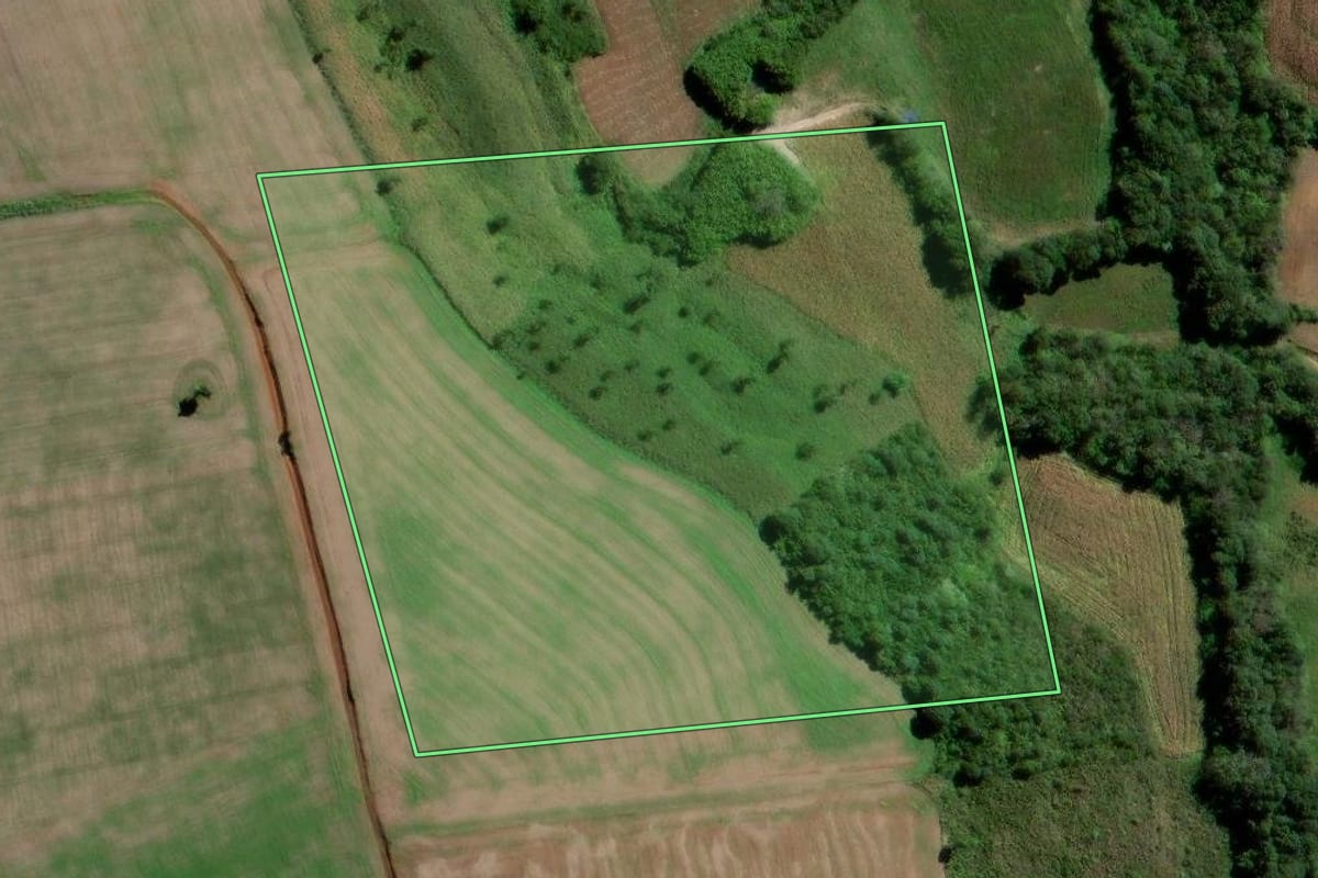 Imagem de satélite do imóvel rural em Fernandes Pinheiro (PR), com o contorno declarado no CAR desenhado por cima.