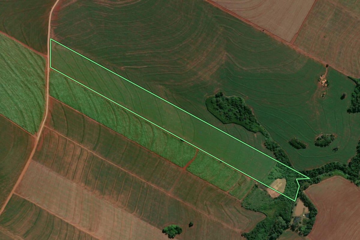 Imagem de satélite do imóvel rural em Floraí (PR), com o contorno declarado no CAR desenhado por cima.