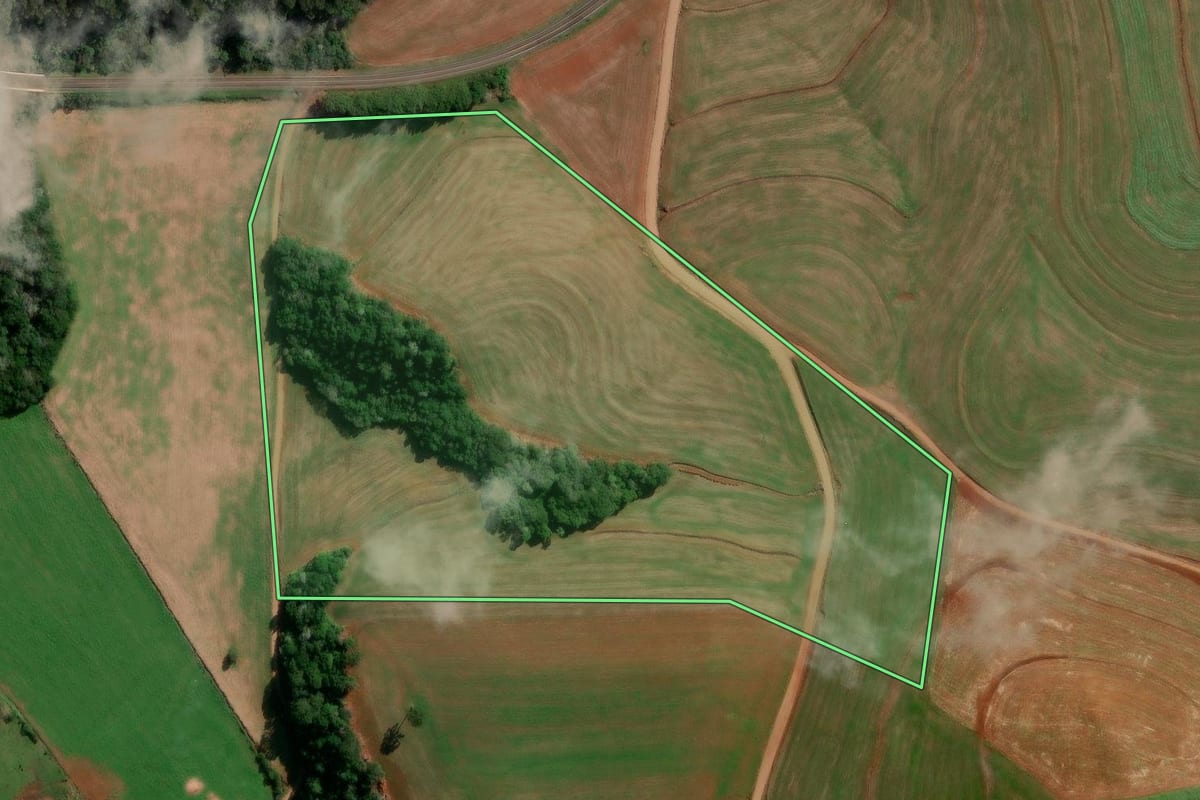 Imagem de satélite do imóvel rural em Flor da Serra do Sul (PR), com o contorno declarado no CAR desenhado por cima.
