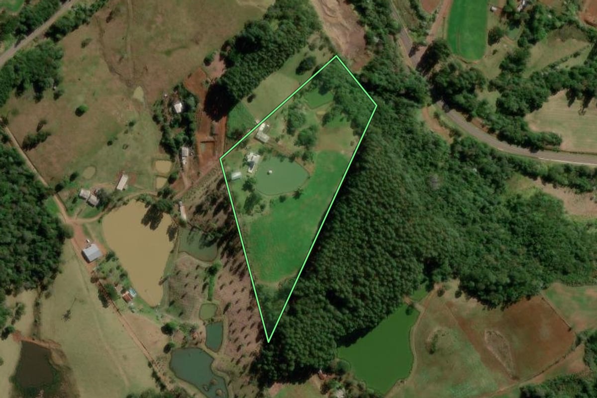 Imagem de satélite do imóvel rural em Flor da Serra do Sul (PR), com o contorno declarado no CAR desenhado por cima.