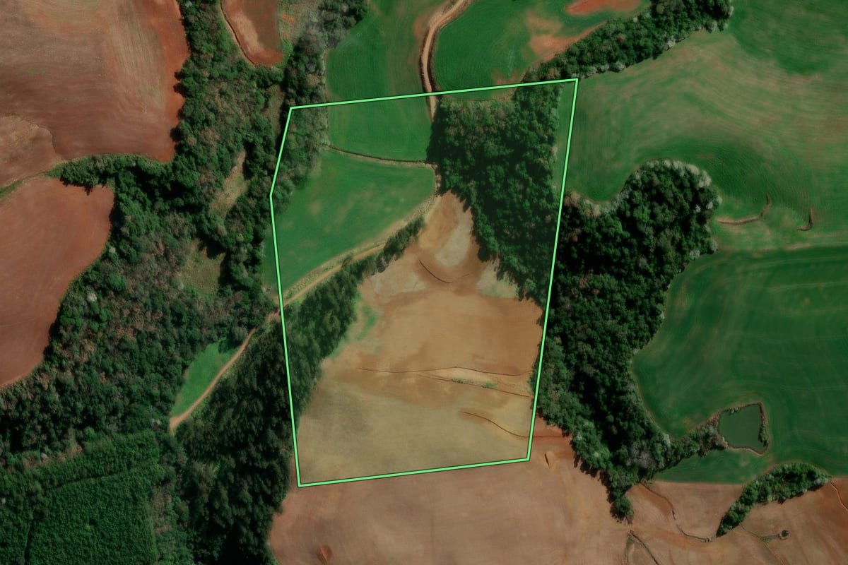 Imagem de satélite do imóvel rural em Flor da Serra do Sul (PR), com o contorno declarado no CAR desenhado por cima.