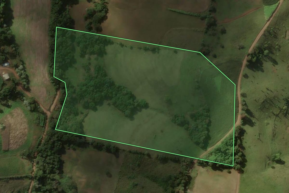 Imagem de satélite do imóvel rural em Flor da Serra do Sul (PR), com o contorno declarado no CAR desenhado por cima.