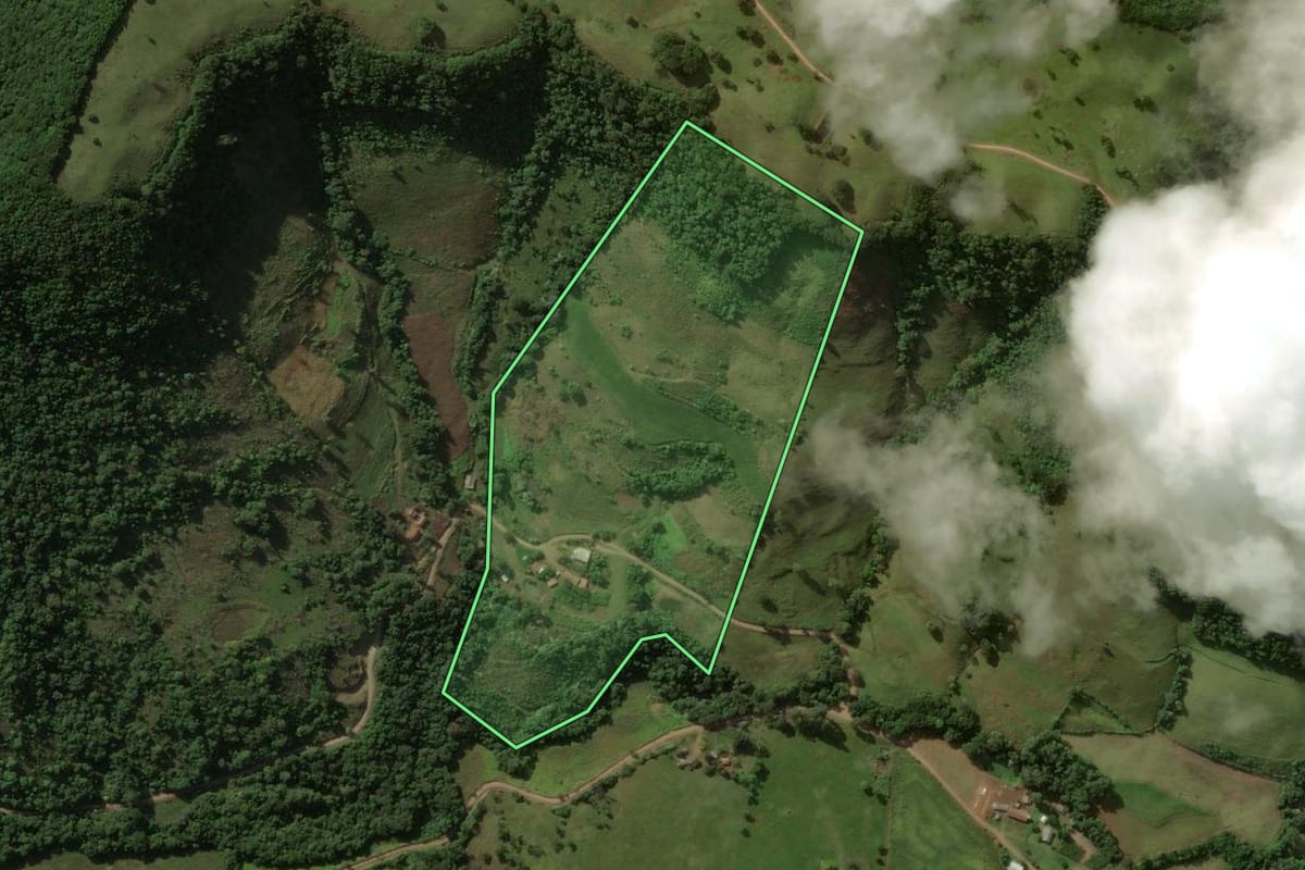 Imagem de satélite do imóvel rural em Flor da Serra do Sul (PR), com o contorno declarado no CAR desenhado por cima.