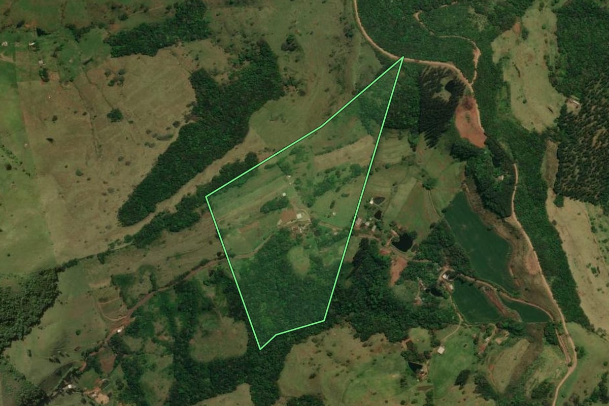 Imagem de satélite do imóvel rural em Flor da Serra do Sul (PR), com o contorno declarado no CAR desenhado por cima.