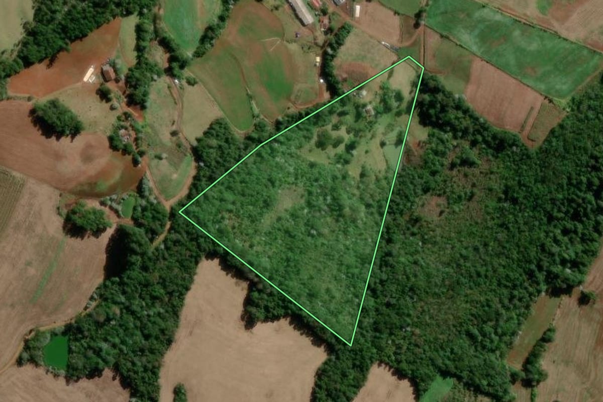Imagem de satélite do imóvel rural em Flor da Serra do Sul (PR), com o contorno declarado no CAR desenhado por cima.