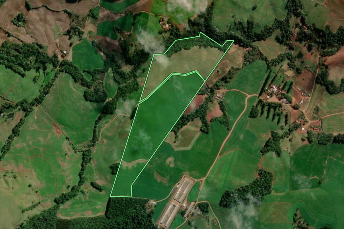 Imagem de satélite do imóvel rural em Flor da Serra do Sul (PR), com o contorno declarado no CAR desenhado por cima.