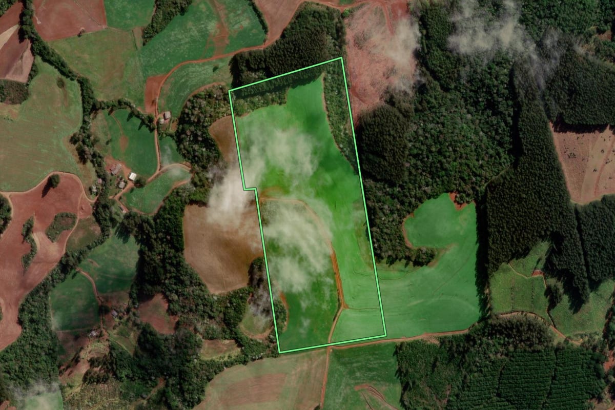 Imagem de satélite do imóvel rural em Flor da Serra do Sul (PR), com o contorno declarado no CAR desenhado por cima.