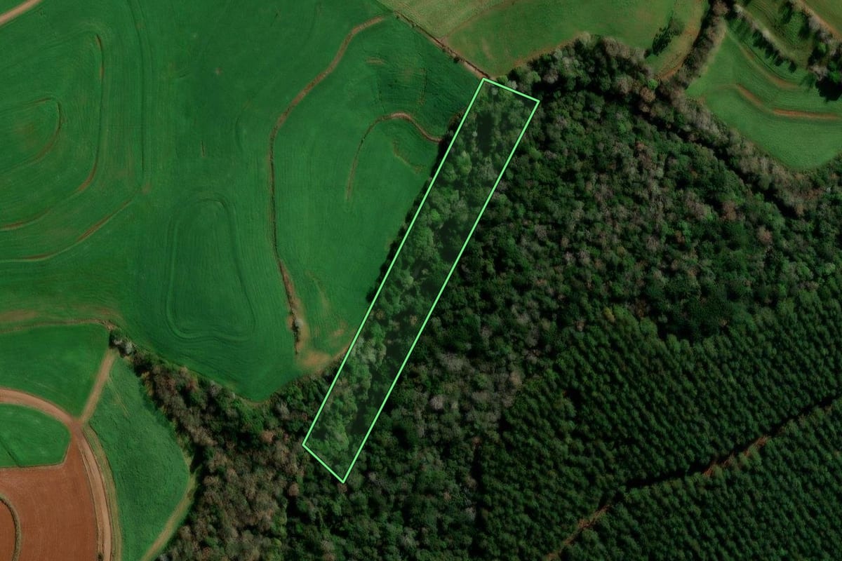 Imagem de satélite do imóvel rural em Flor da Serra do Sul (PR), com o contorno declarado no CAR desenhado por cima.