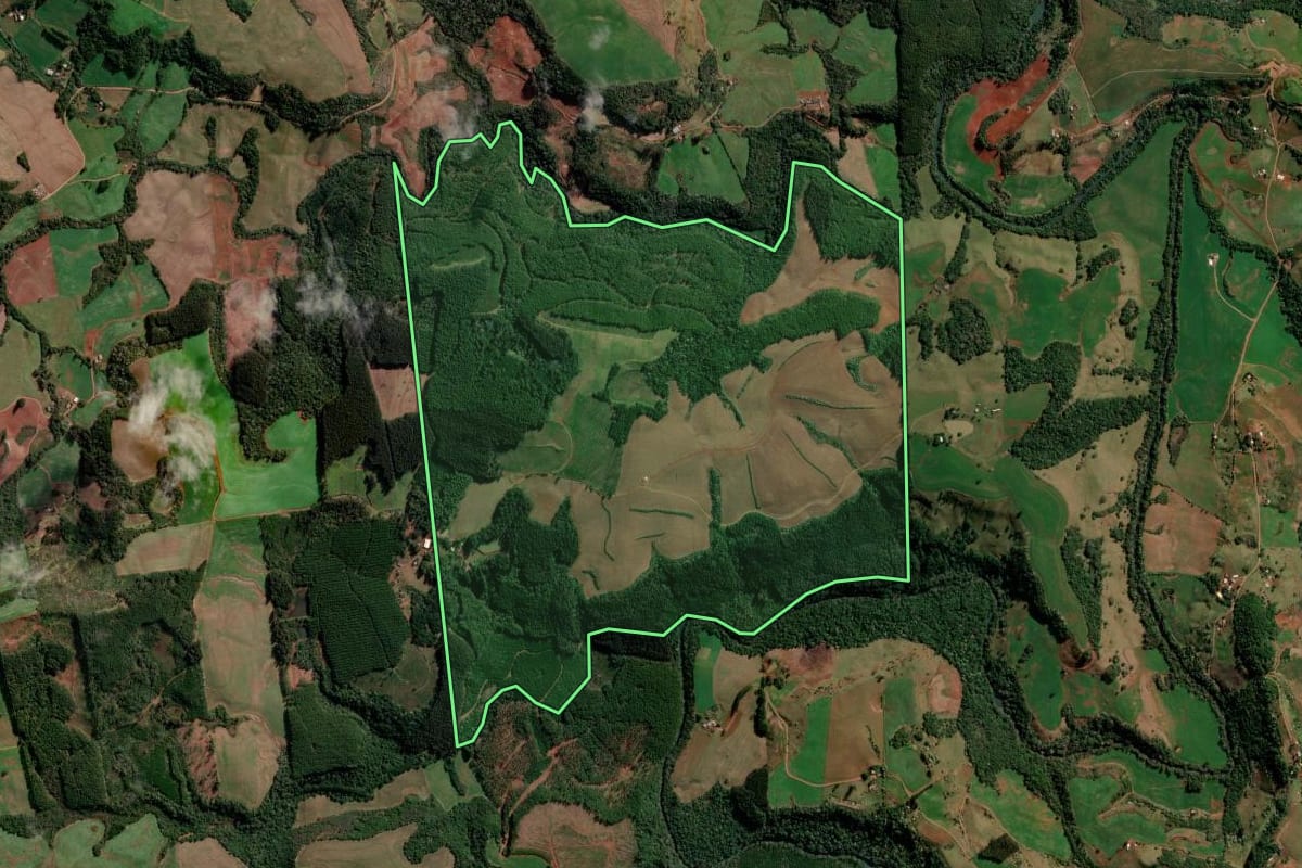 Imagem de satélite do imóvel rural em Flor da Serra do Sul (PR), com o contorno declarado no CAR desenhado por cima.