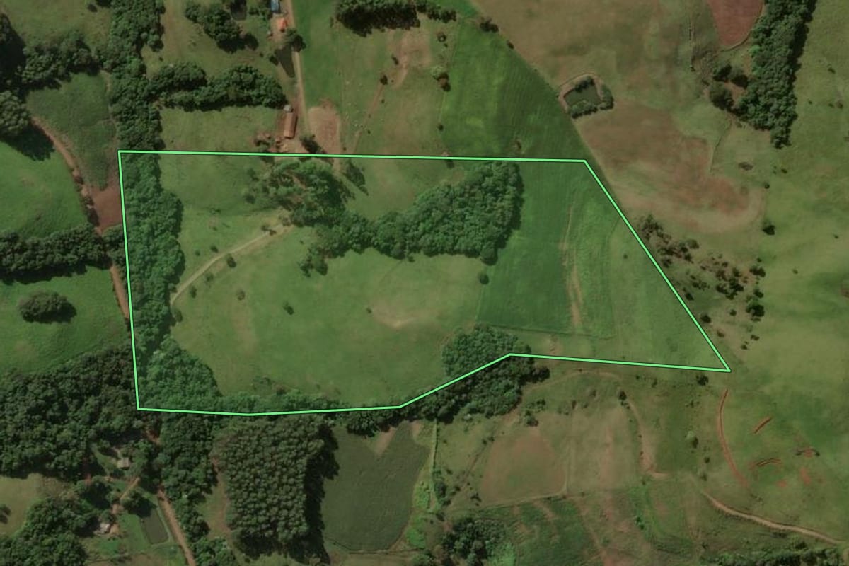 Imagem de satélite do imóvel rural em Flor da Serra do Sul (PR), com o contorno declarado no CAR desenhado por cima.