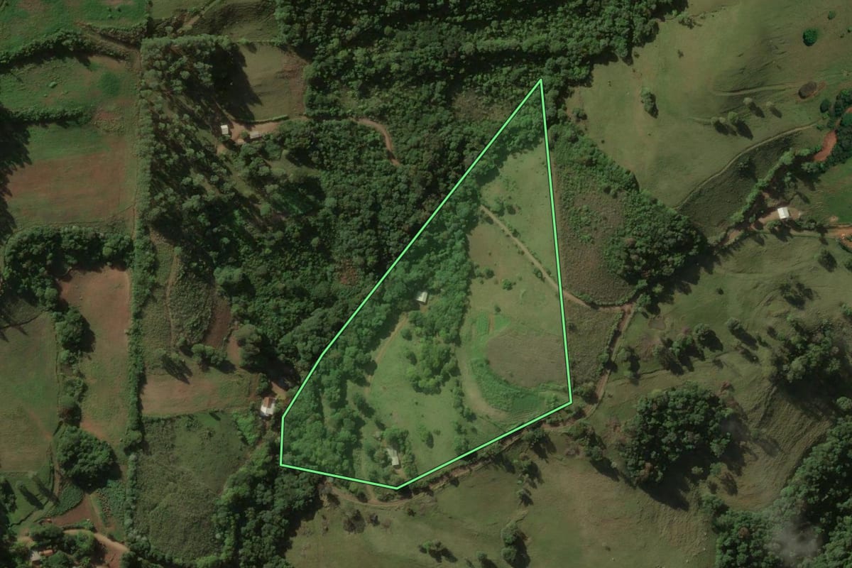 Imagem de satélite do imóvel rural em Flor da Serra do Sul (PR), com o contorno declarado no CAR desenhado por cima.