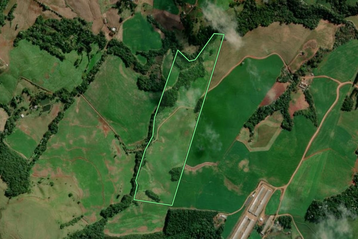 Imagem de satélite do imóvel rural em Flor da Serra do Sul (PR), com o contorno declarado no CAR desenhado por cima.