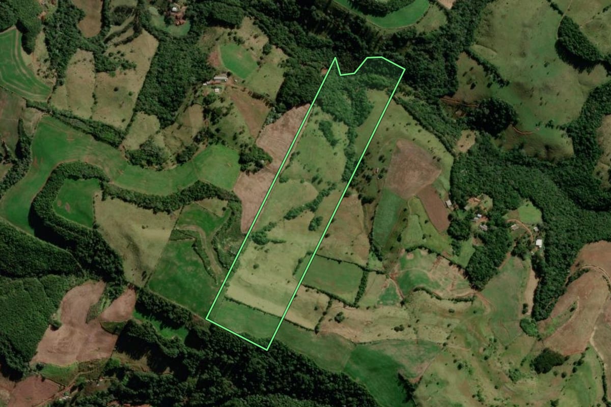 Imagem de satélite do imóvel rural em Flor da Serra do Sul (PR), com o contorno declarado no CAR desenhado por cima.