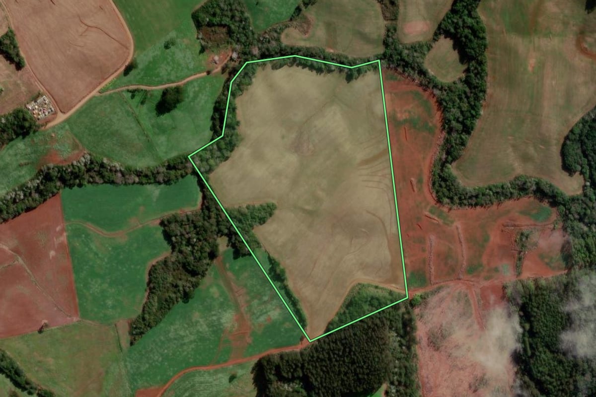 Imagem de satélite do imóvel rural em Flor da Serra do Sul (PR), com o contorno declarado no CAR desenhado por cima.