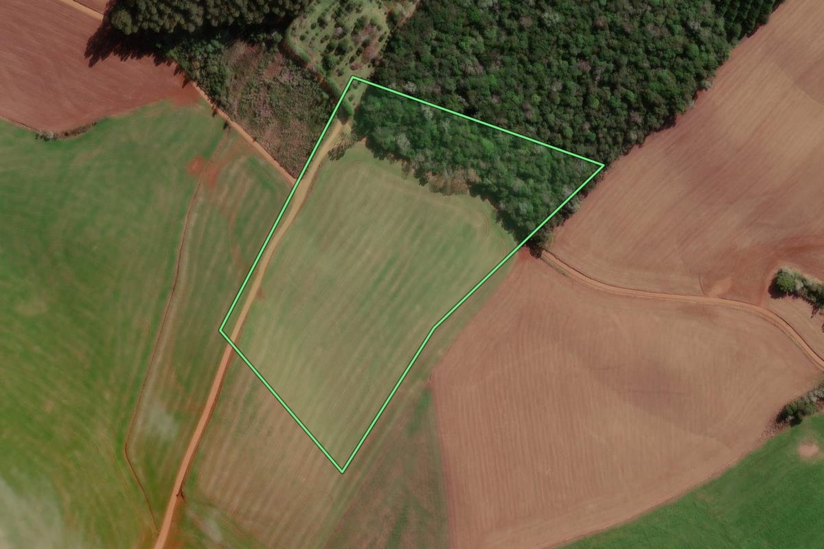 Imagem de satélite do imóvel rural em Flor da Serra do Sul (PR), com o contorno declarado no CAR desenhado por cima.
