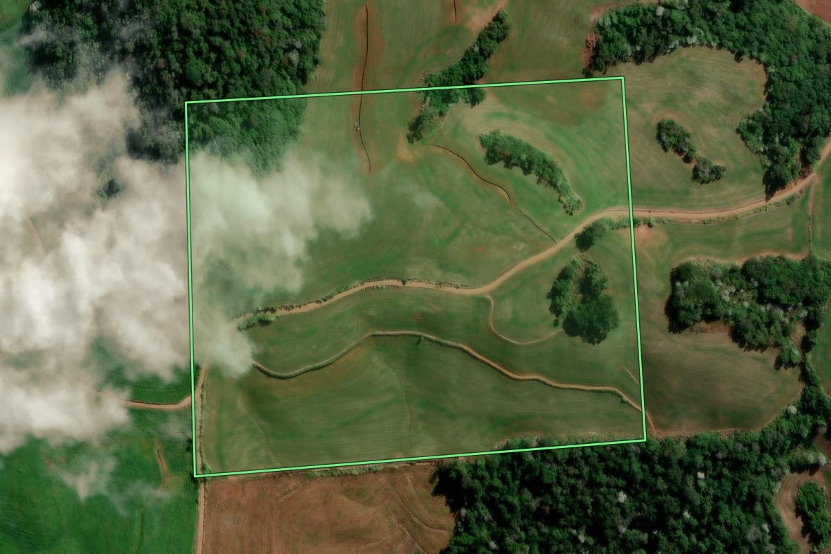 Imagem de satélite do imóvel rural em Flor da Serra do Sul (PR), com o contorno declarado no CAR desenhado por cima.