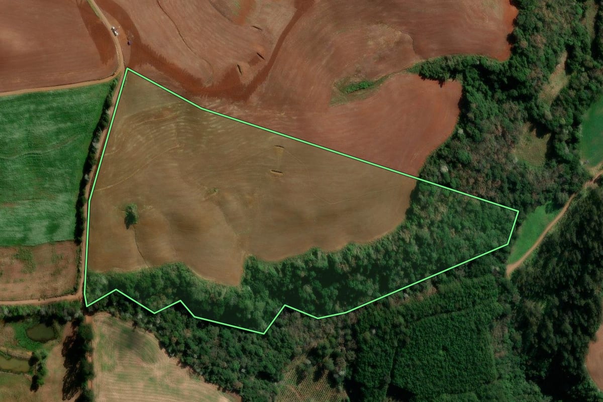 Imagem de satélite do imóvel rural em Flor da Serra do Sul (PR), com o contorno declarado no CAR desenhado por cima.