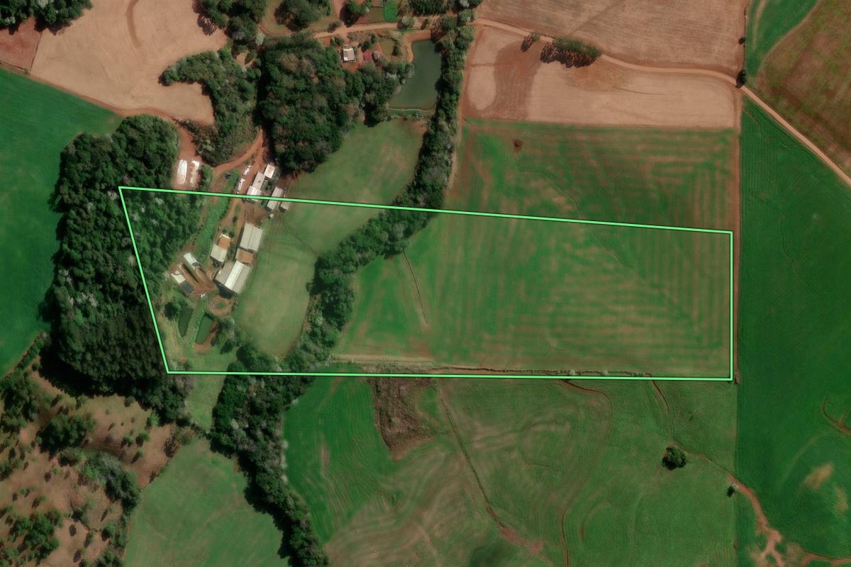 Imagem de satélite do imóvel rural em Flor da Serra do Sul (PR), com o contorno declarado no CAR desenhado por cima.