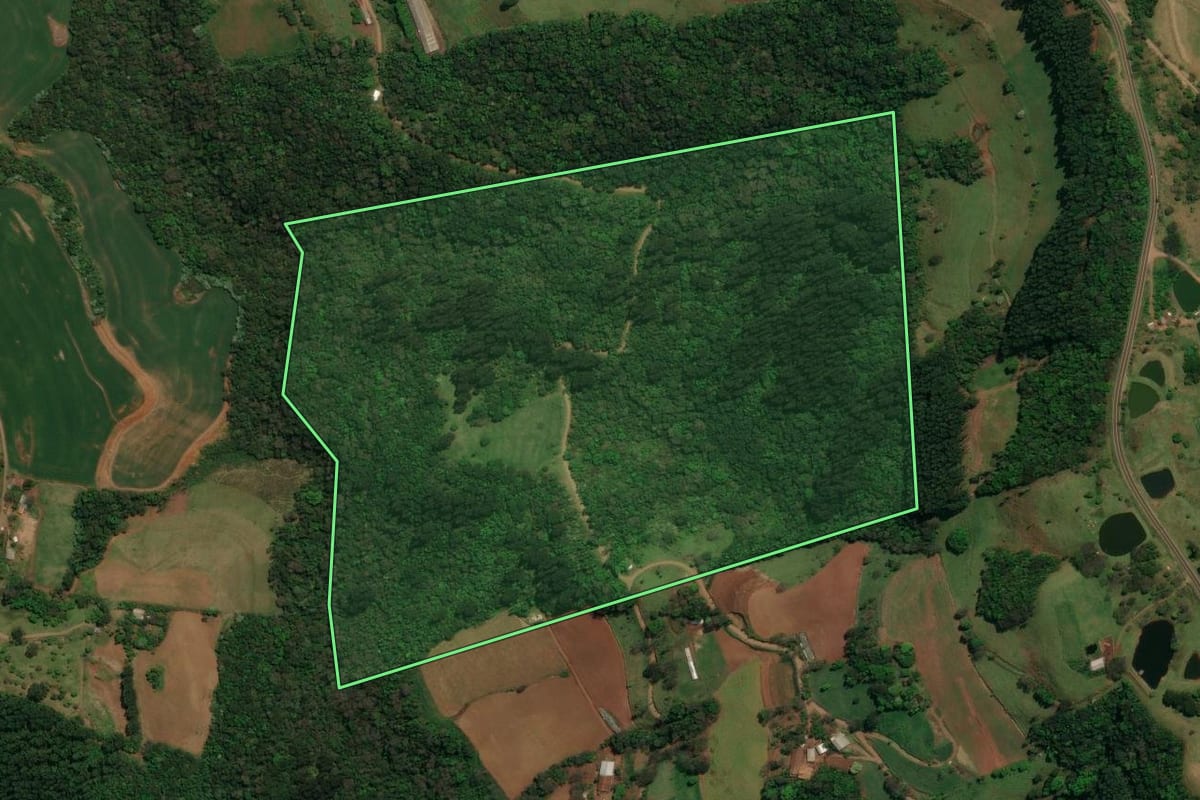 Imagem de satélite do imóvel rural em Flor da Serra do Sul (PR), com o contorno declarado no CAR desenhado por cima.