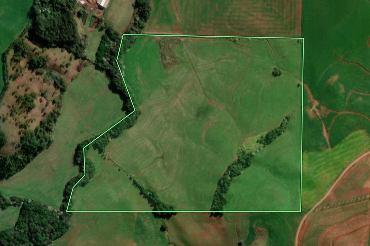 Imagem de satélite do imóvel rural em Flor da Serra do Sul (PR), com o contorno declarado no CAR desenhado por cima.