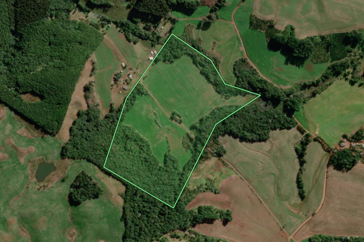 Imagem de satélite do imóvel rural em Flor da Serra do Sul (PR), com o contorno declarado no CAR desenhado por cima.