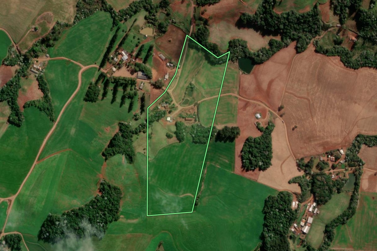Imagem de satélite do imóvel rural em Flor da Serra do Sul (PR), com o contorno declarado no CAR desenhado por cima.