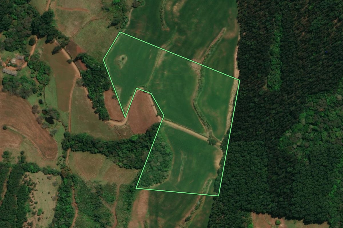 Imagem de satélite do imóvel rural em Flor da Serra do Sul (PR), com o contorno declarado no CAR desenhado por cima.