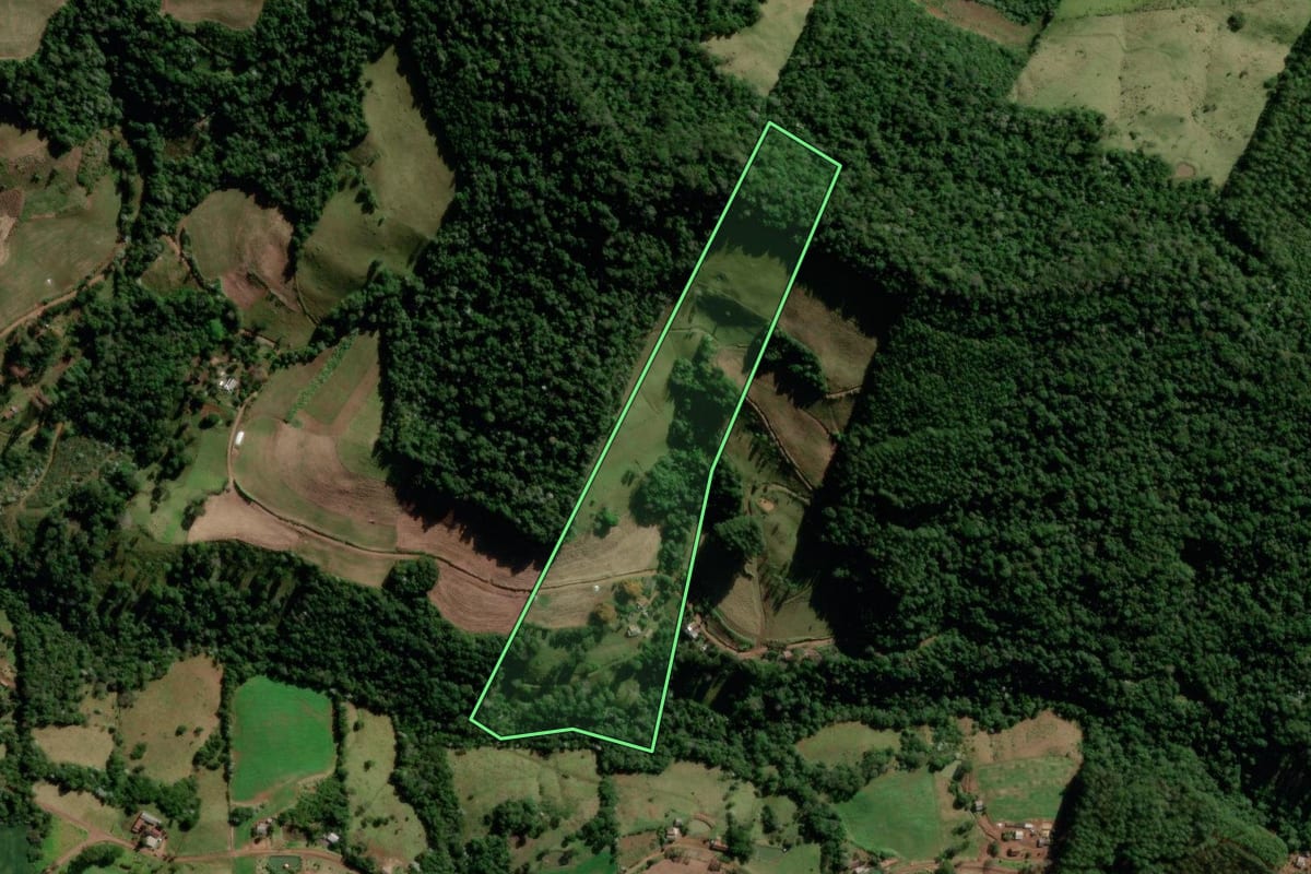 Imagem de satélite do imóvel rural em Flor da Serra do Sul (PR), com o contorno declarado no CAR desenhado por cima.