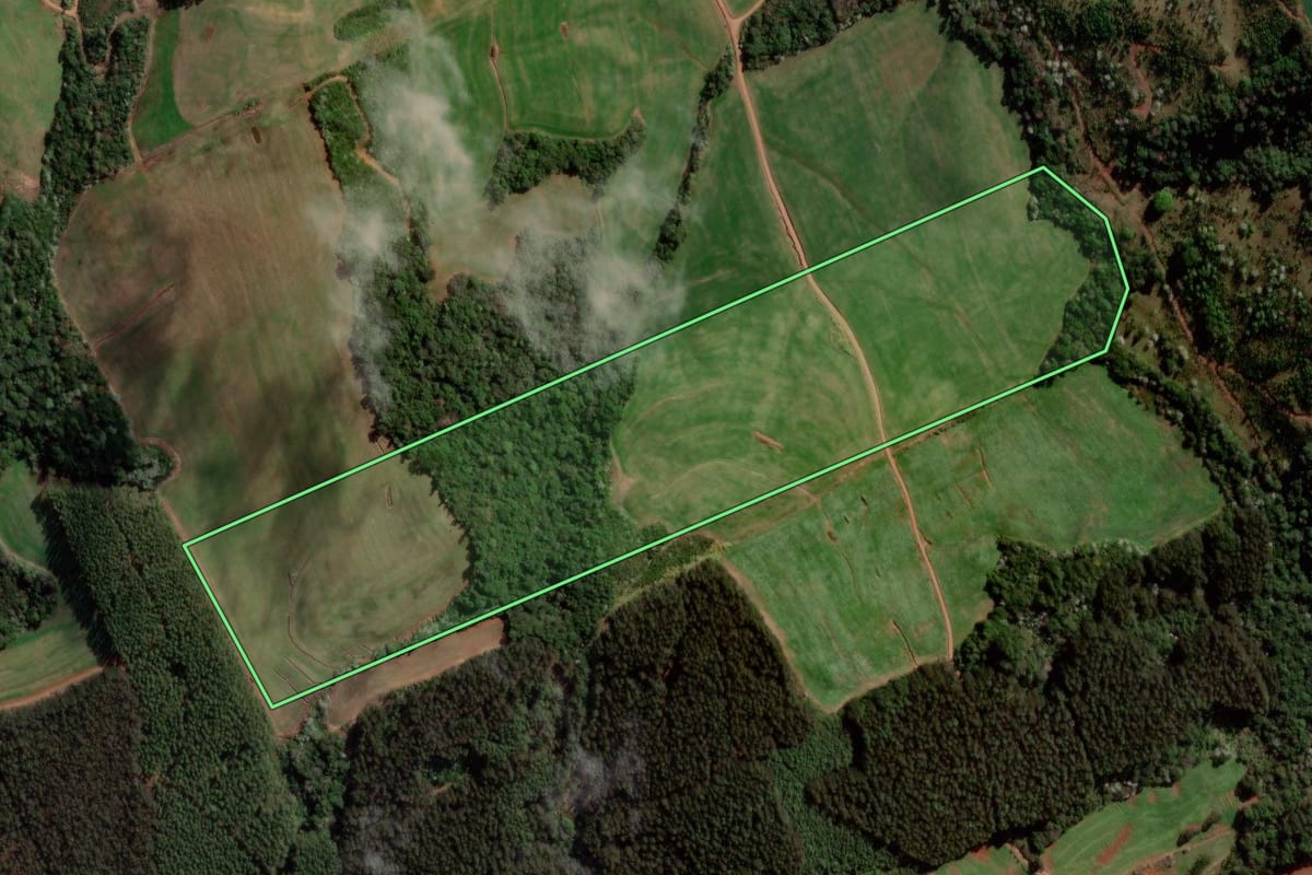 Imagem de satélite do imóvel rural em Flor da Serra do Sul (PR), com o contorno declarado no CAR desenhado por cima.