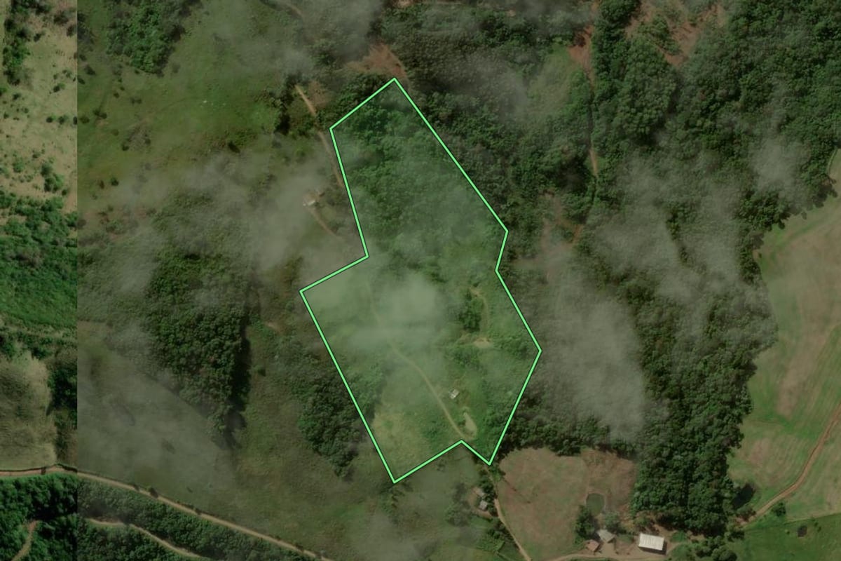 Imagem de satélite do imóvel rural em Flor da Serra do Sul (PR), com o contorno declarado no CAR desenhado por cima.