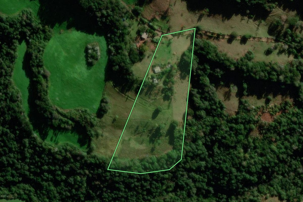 Imagem de satélite do imóvel rural em Flor da Serra do Sul (PR), com o contorno declarado no CAR desenhado por cima.