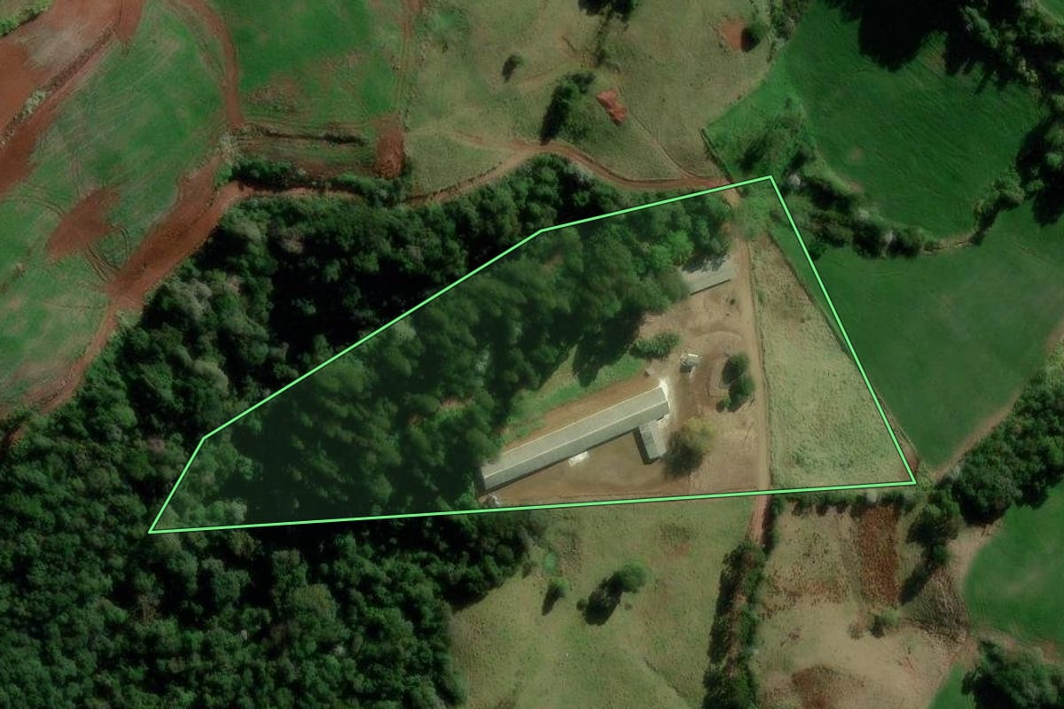 Imagem de satélite do imóvel rural em Flor da Serra do Sul (PR), com o contorno declarado no CAR desenhado por cima.