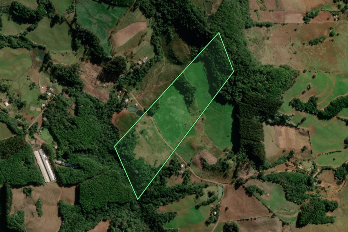 Imagem de satélite do imóvel rural em Flor da Serra do Sul (PR), com o contorno declarado no CAR desenhado por cima.