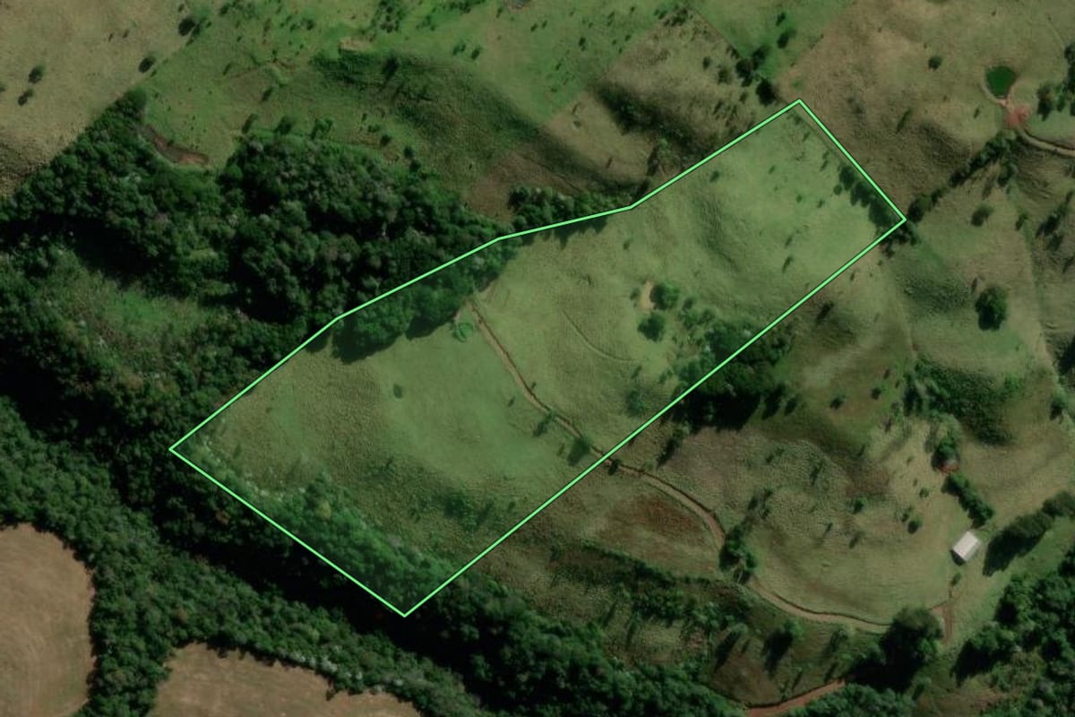 Imagem de satélite do imóvel rural em Flor da Serra do Sul (PR), com o contorno declarado no CAR desenhado por cima.