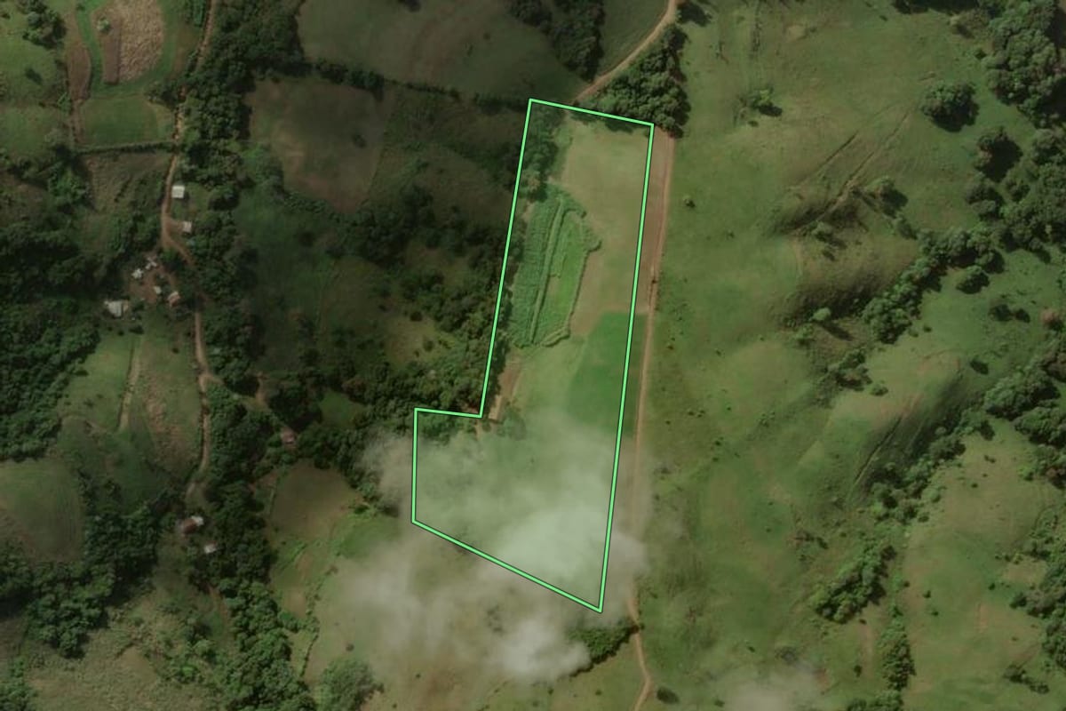 Imagem de satélite do imóvel rural em Flor da Serra do Sul (PR), com o contorno declarado no CAR desenhado por cima.