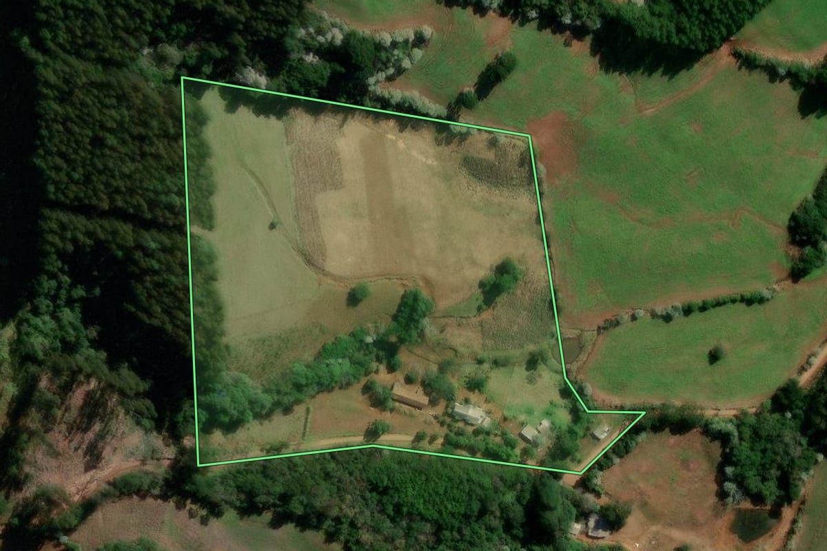 Imagem de satélite do imóvel rural em Flor da Serra do Sul (PR), com o contorno declarado no CAR desenhado por cima.