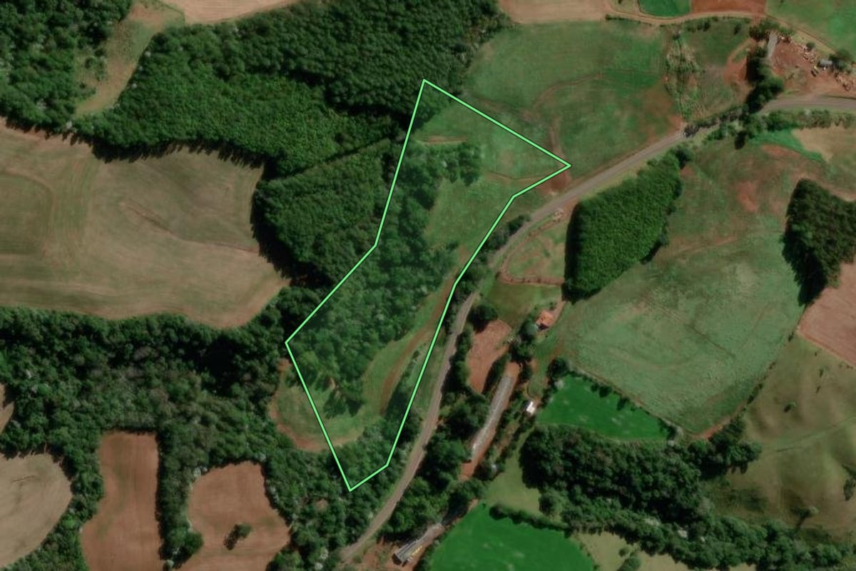 Imagem de satélite do imóvel rural em Flor da Serra do Sul (PR), com o contorno declarado no CAR desenhado por cima.
