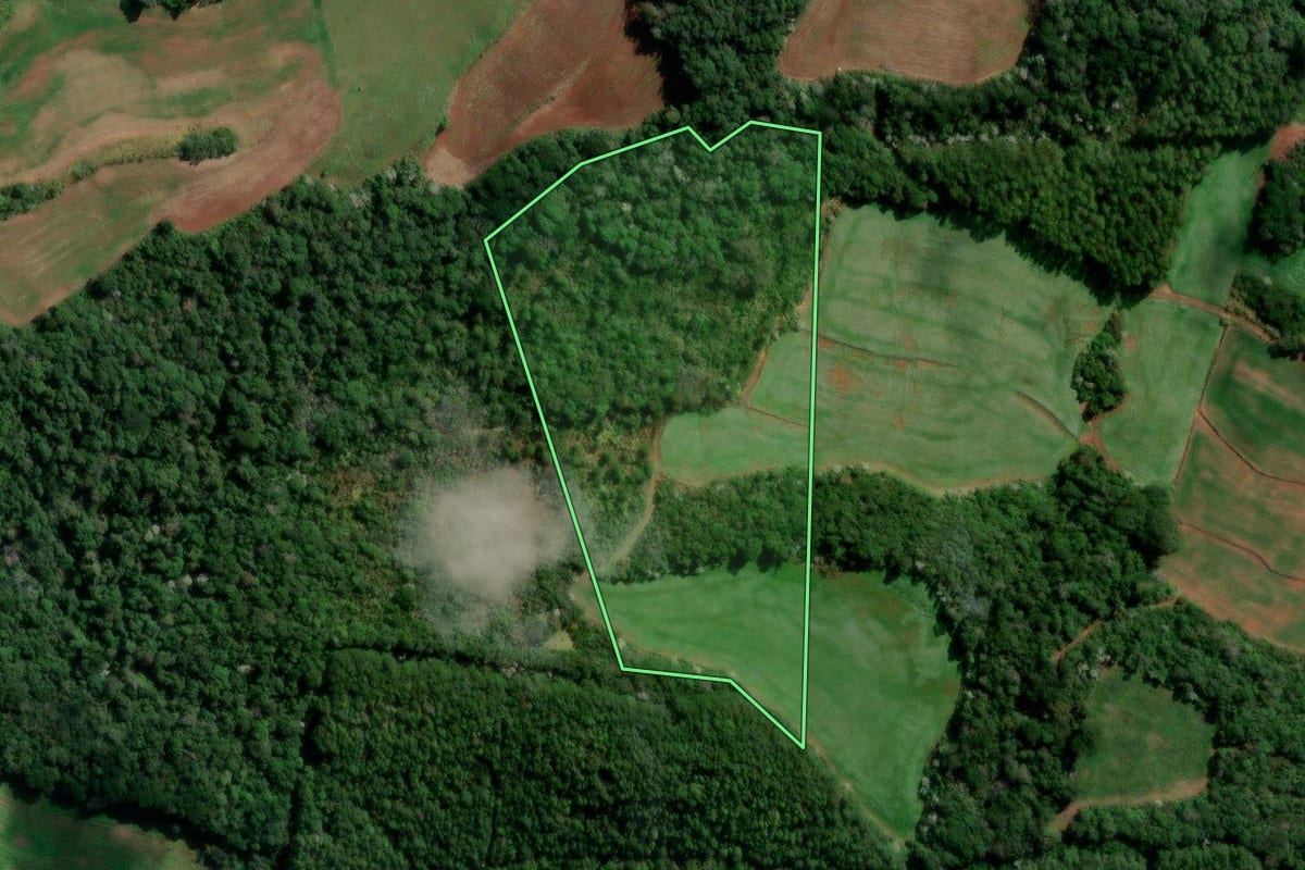 Imagem de satélite do imóvel rural em Flor da Serra do Sul (PR), com o contorno declarado no CAR desenhado por cima.