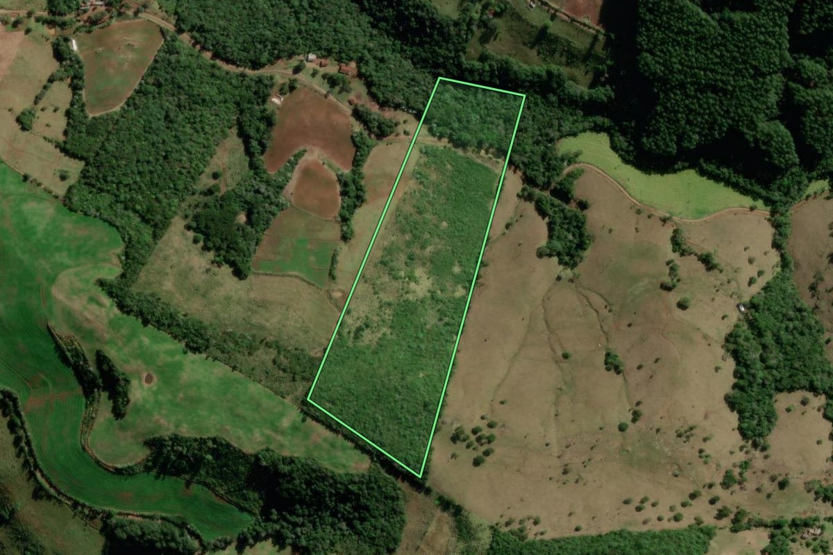 Imagem de satélite do imóvel rural em Flor da Serra do Sul (PR), com o contorno declarado no CAR desenhado por cima.
