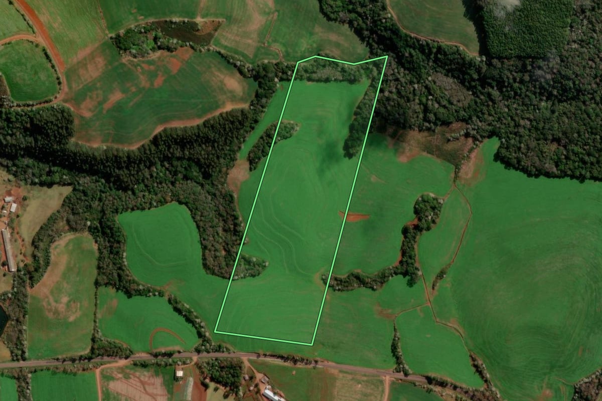 Imagem de satélite do imóvel rural em Flor da Serra do Sul (PR), com o contorno declarado no CAR desenhado por cima.