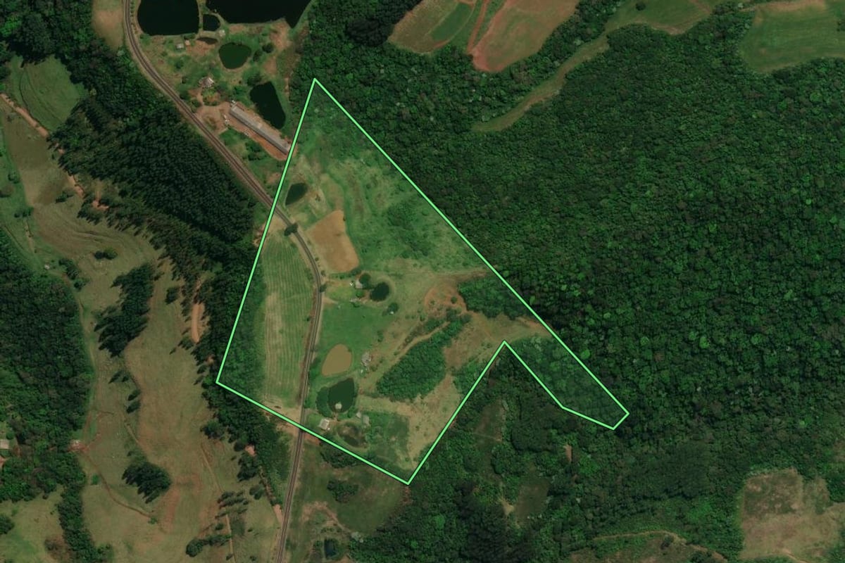 Imagem de satélite do imóvel rural em Flor da Serra do Sul (PR), com o contorno declarado no CAR desenhado por cima.