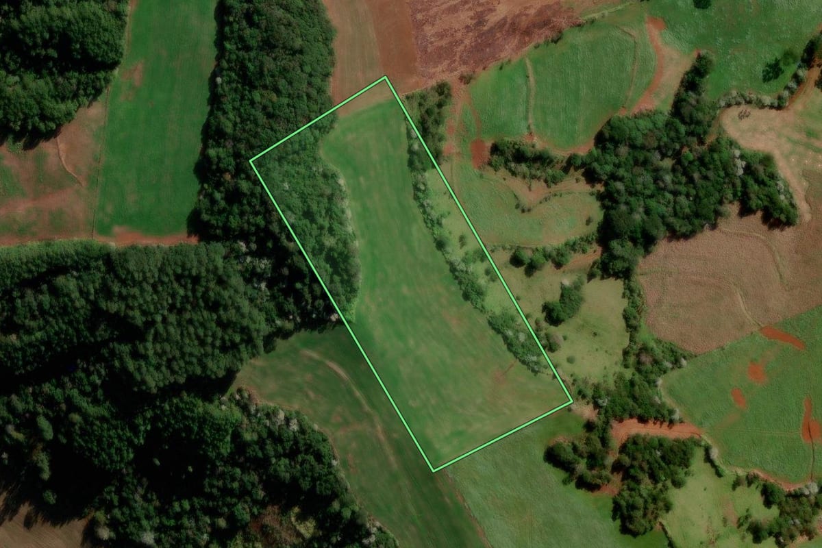 Imagem de satélite do imóvel rural em Flor da Serra do Sul (PR), com o contorno declarado no CAR desenhado por cima.