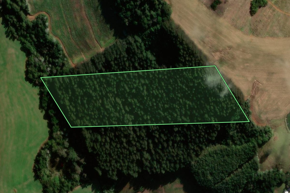 Imagem de satélite do imóvel rural em Flor da Serra do Sul (PR), com o contorno declarado no CAR desenhado por cima.