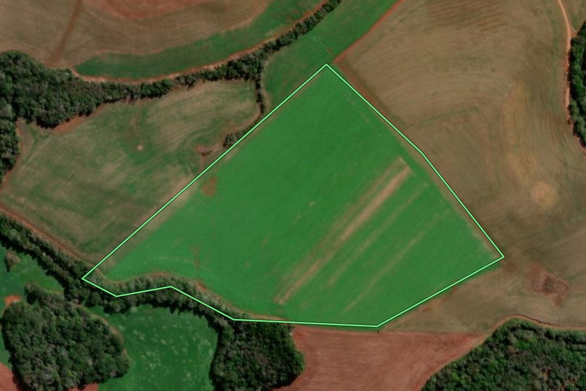 Imagem de satélite do imóvel rural em Flor da Serra do Sul (PR), com o contorno declarado no CAR desenhado por cima.